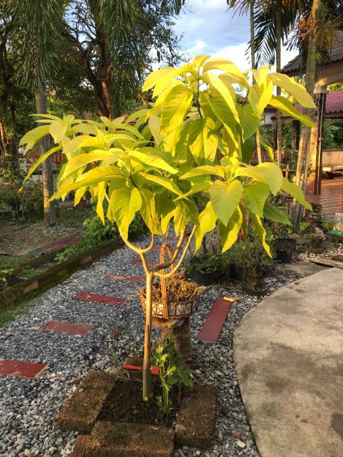 Grandma's House Nakhon Nayok Exterior foto